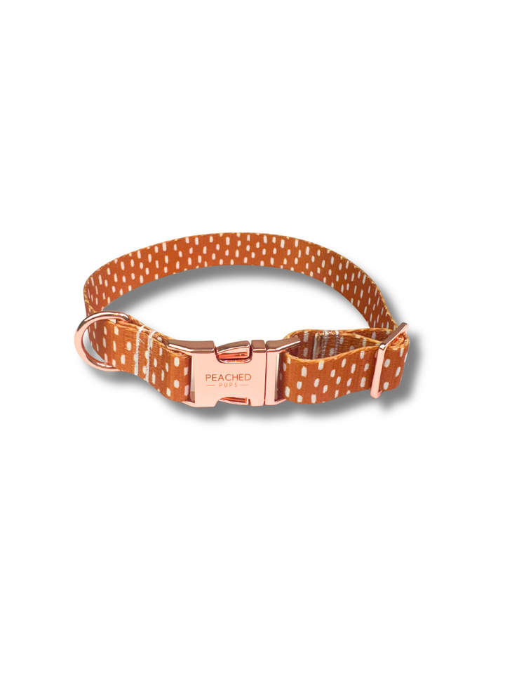 Dottie Collar