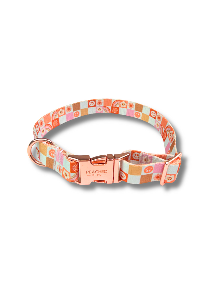 Retro Rainbow Fi Compatible Collar