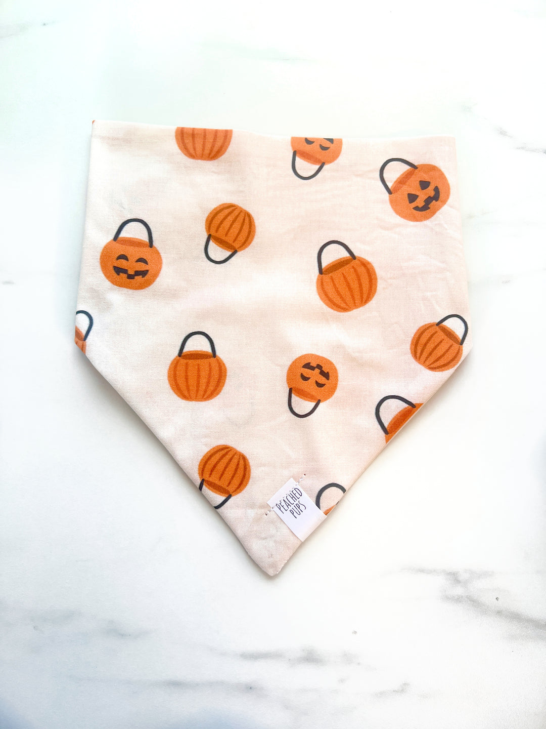 Pumpkin Pail