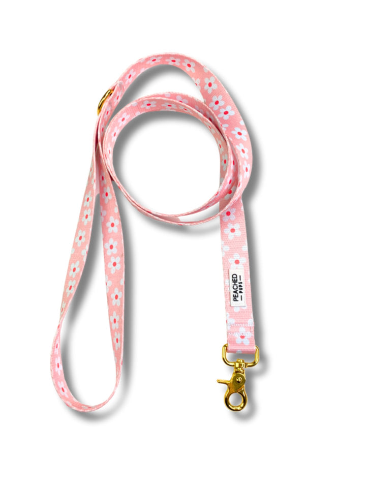 Daisy Garden Leash