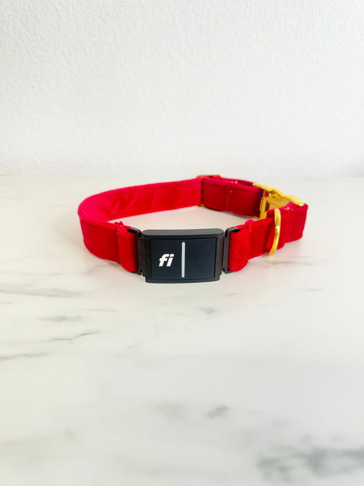 Velvet Red Fi Compatible Collar