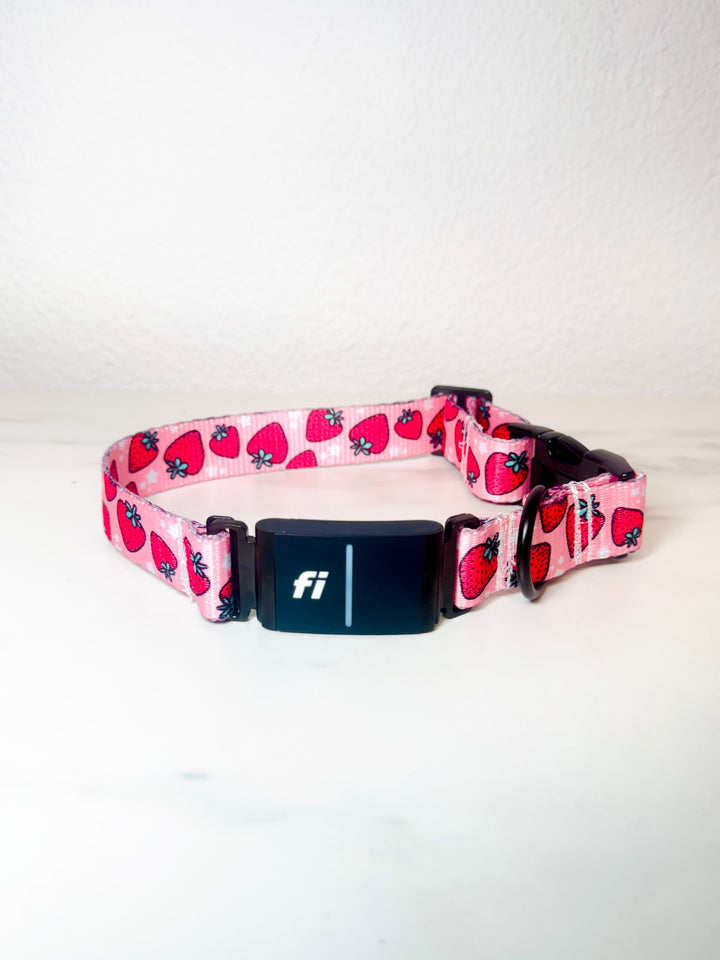 Strawberry Fields Fi Compatible Collar
