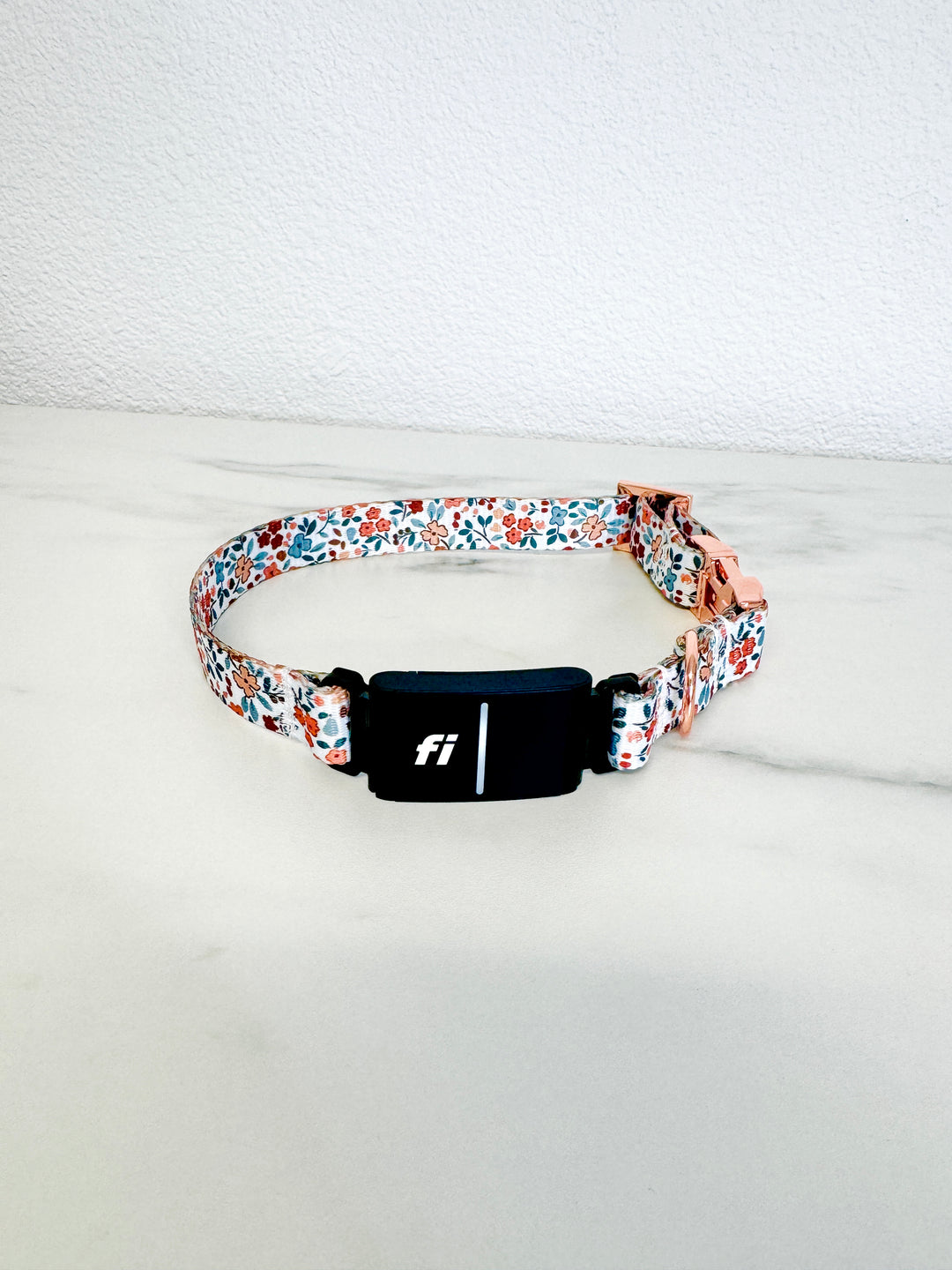 Autumn Bloom Fi Compatible Collar