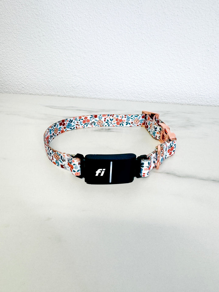 Autumn Bloom Fi Compatible Collar
