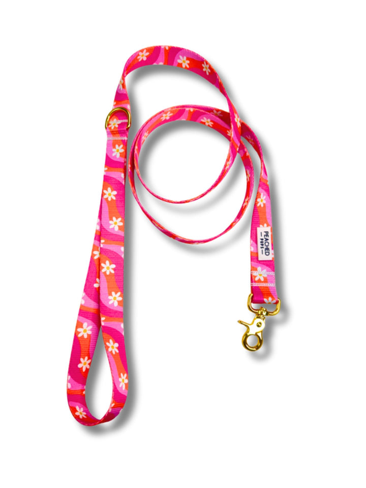 Groovy Bloom Leash