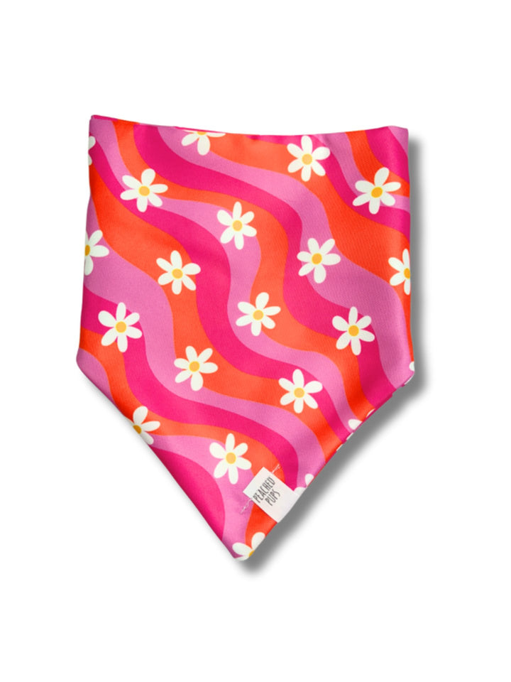 Groovy Bloom