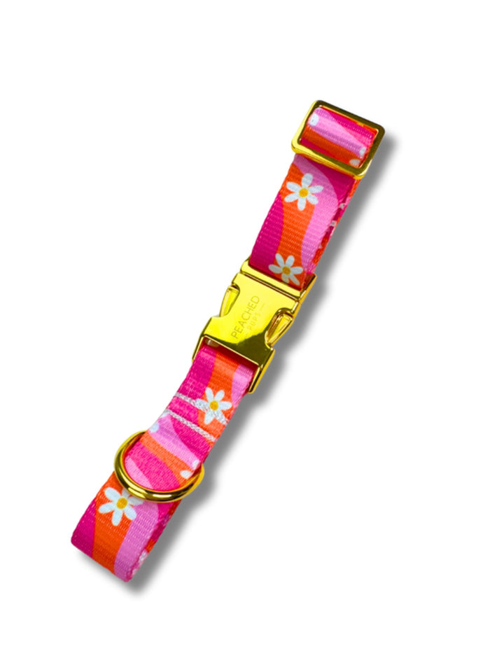 Groovy Bloom Collar
