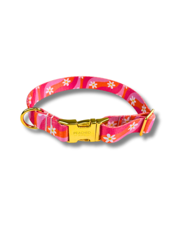 Groovy Bloom Collar
