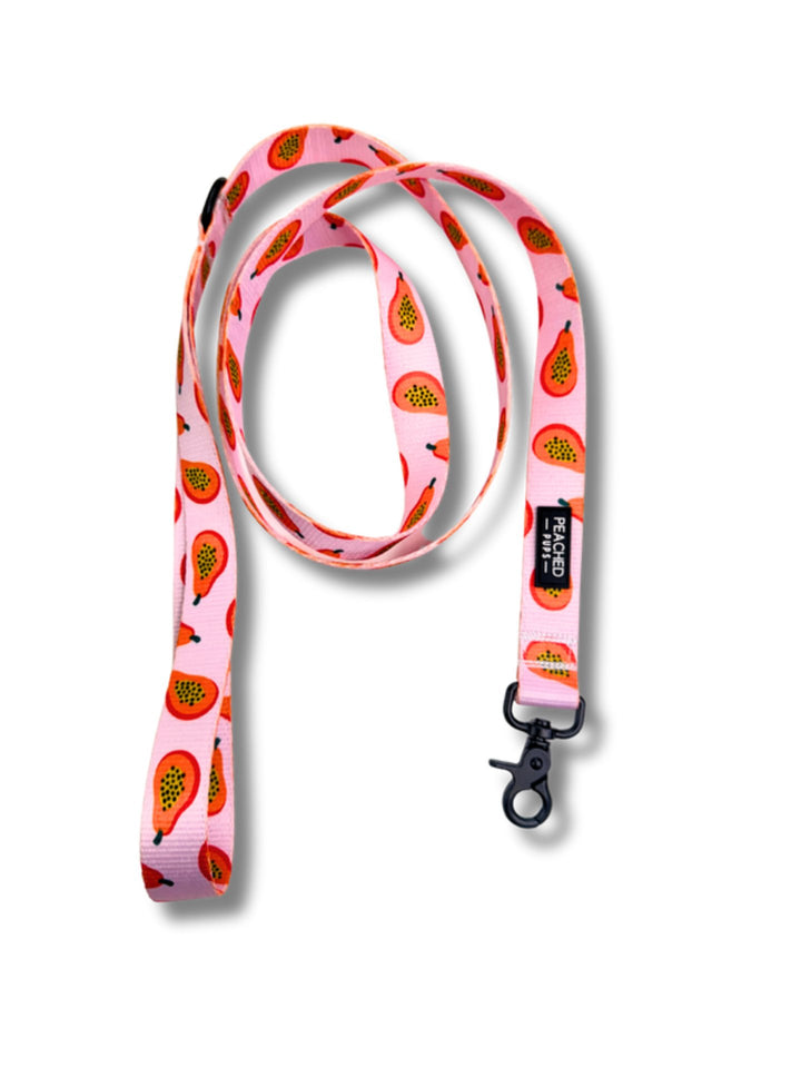 Papaya Punch Leash