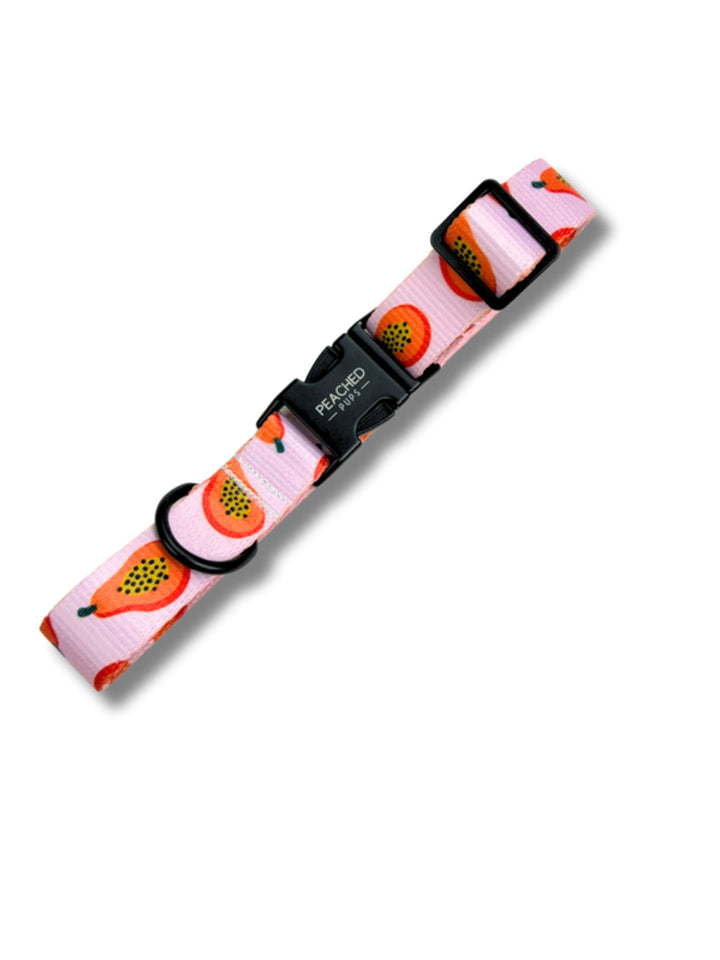 Papaya Punch Collar