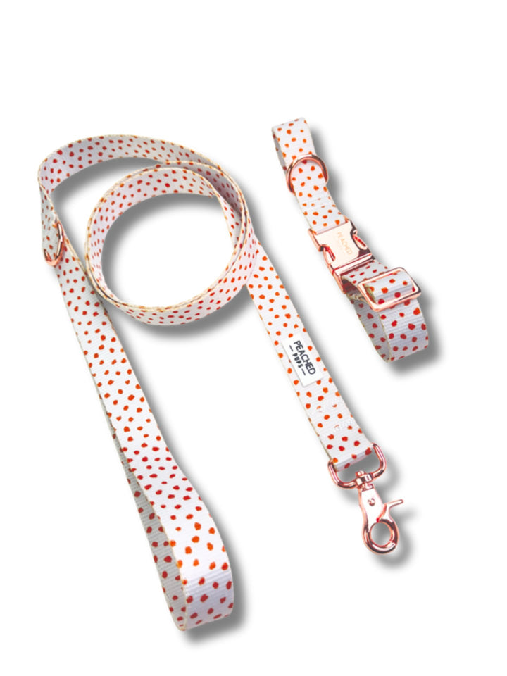 Two Piece Bundle - Sugar Dot
