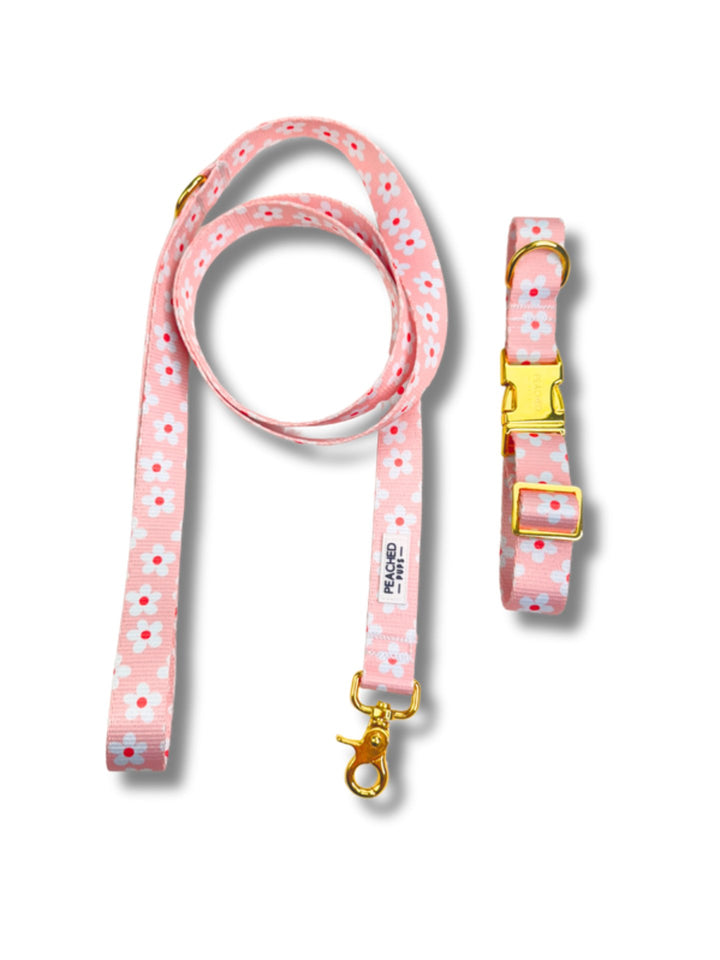 Two Piece Bundle - Daisy Garden