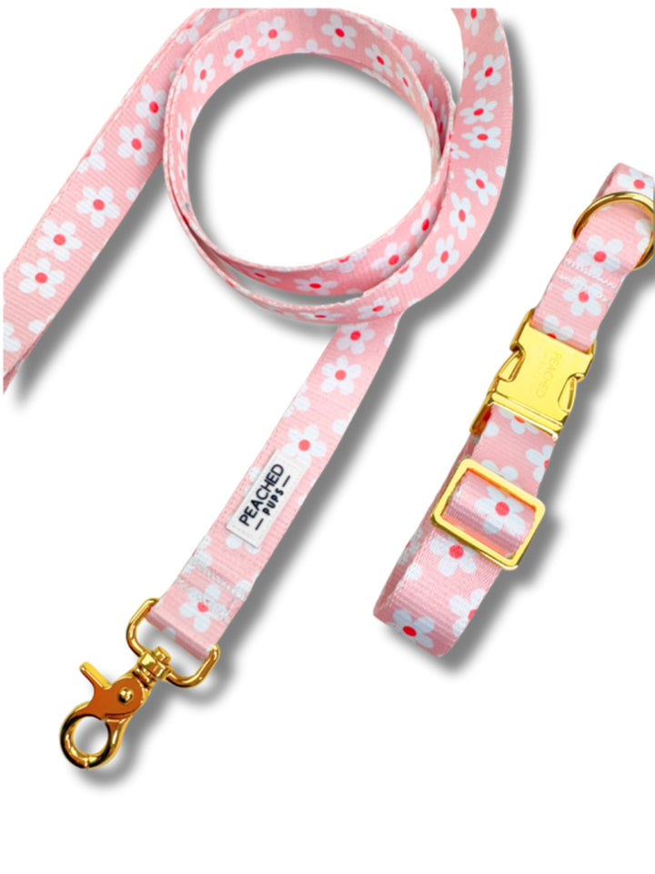Two Piece Bundle - Daisy Garden