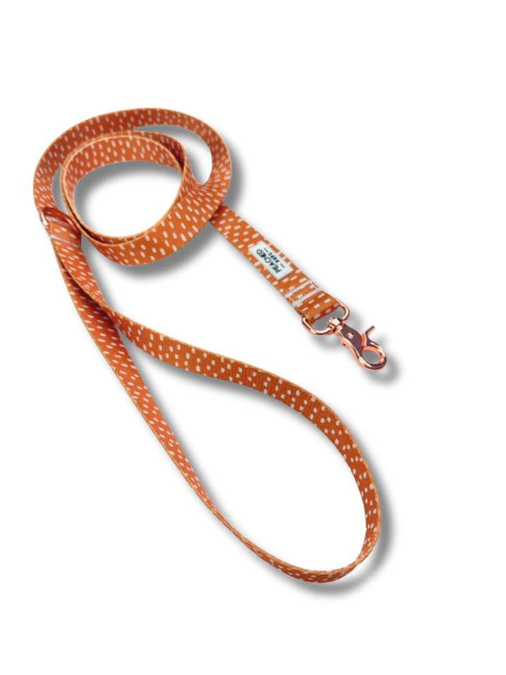 Dottie Leash