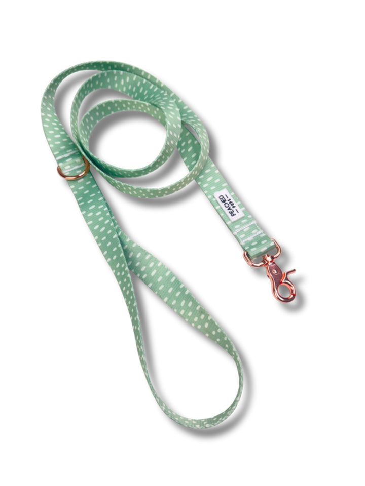 White Sage Leash