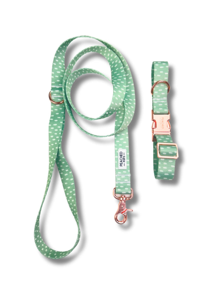 Two Piece Bundle - White Sage
