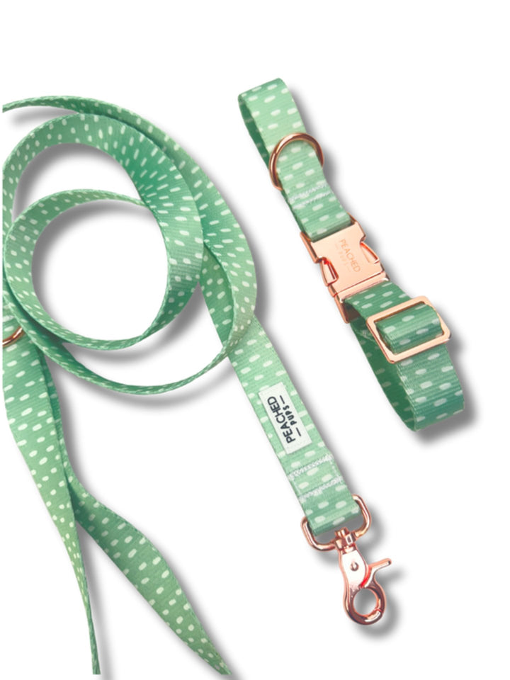 Two Piece Bundle - White Sage