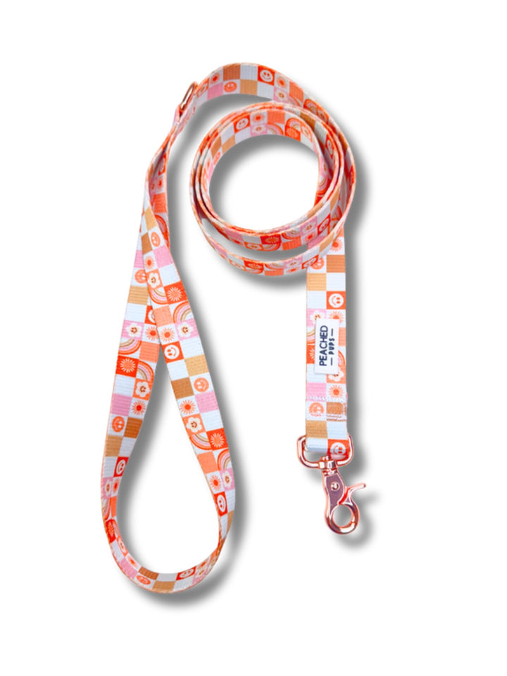Retro Rainbow Leash