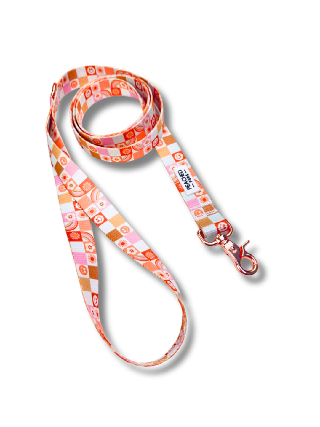 Retro Rainbow Leash