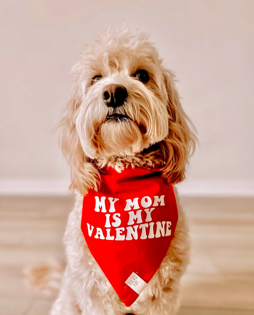 My Mom is My Valentine