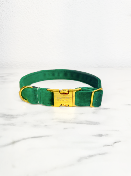 Green Velvet Collar