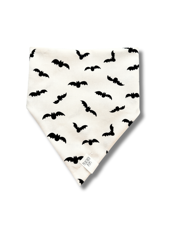 Batty Nights