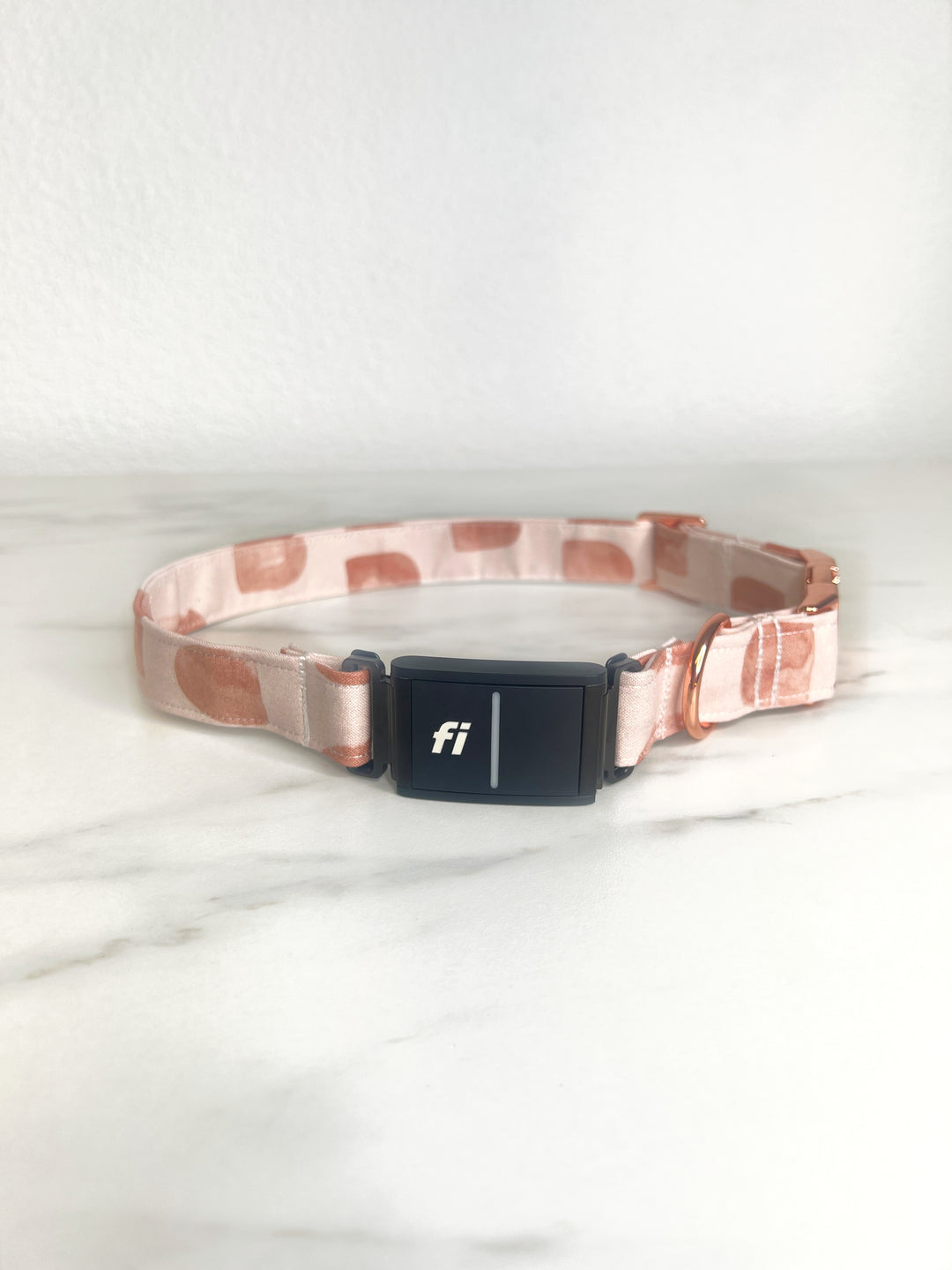 Arches Fi Compatible Collar