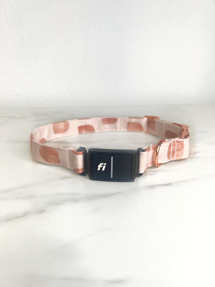 Arches Fi Compatible Collar