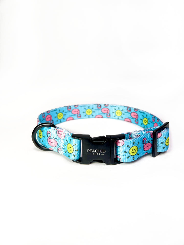 Flocktail Hour Fi Compatible Collar