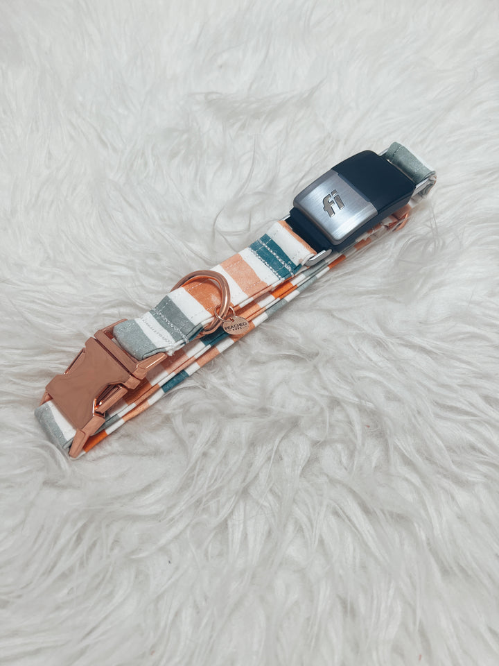 Fall Stripes Pastel Fi Compatible Collar