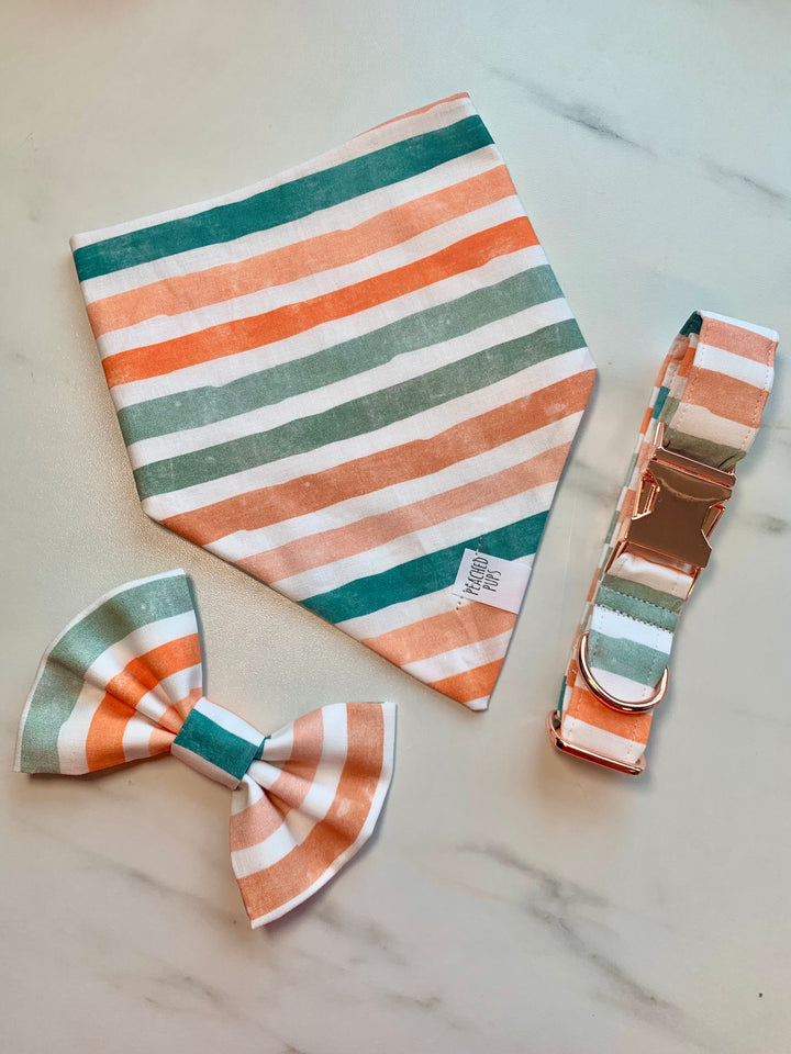 Fall Stripes - Pastel Collar