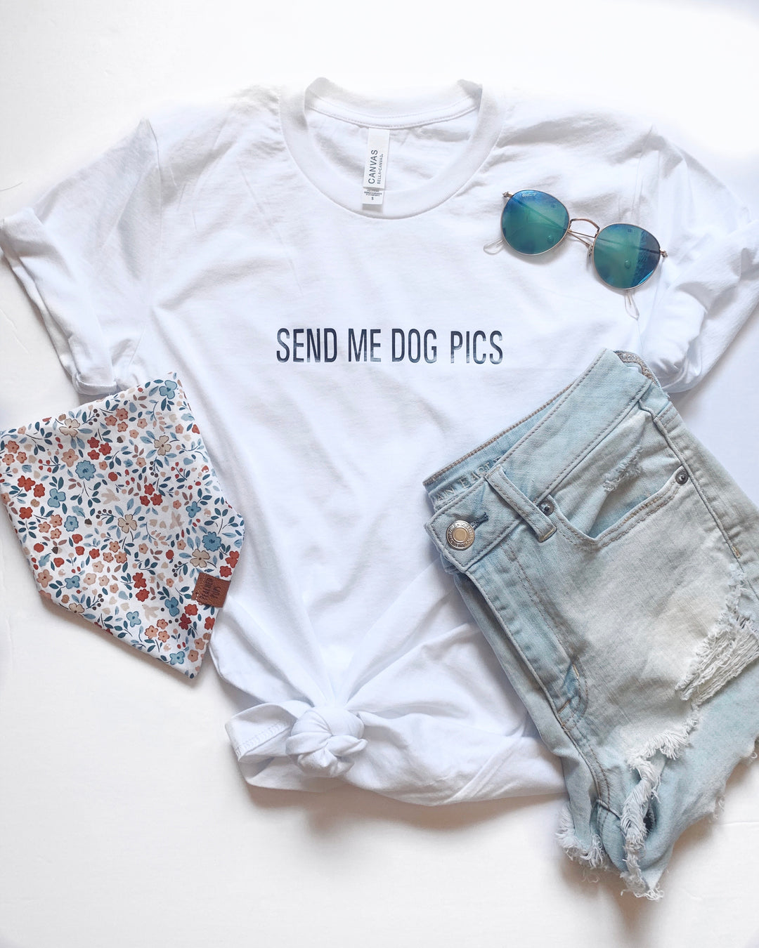 Send Me Dog Pics Tee