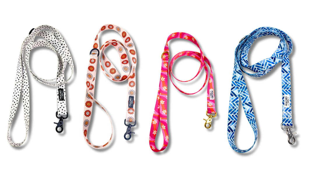 Why a High-Quality Dog Leash Matters (and How to Choose the Right One)