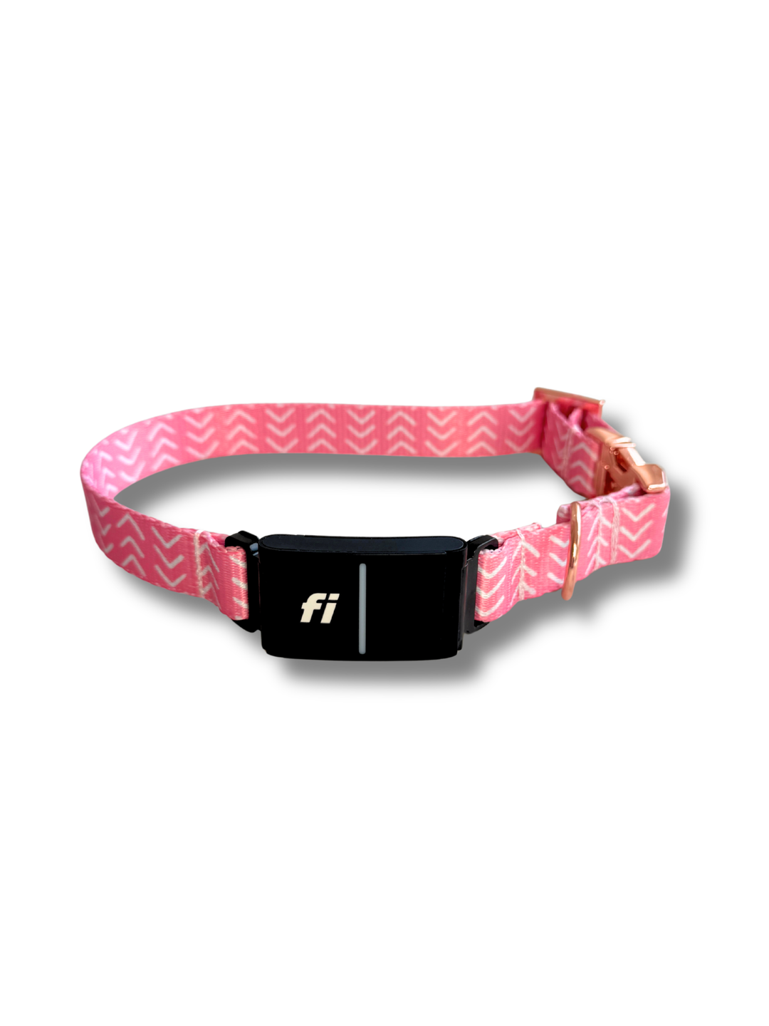 Fi-Compatible Collars