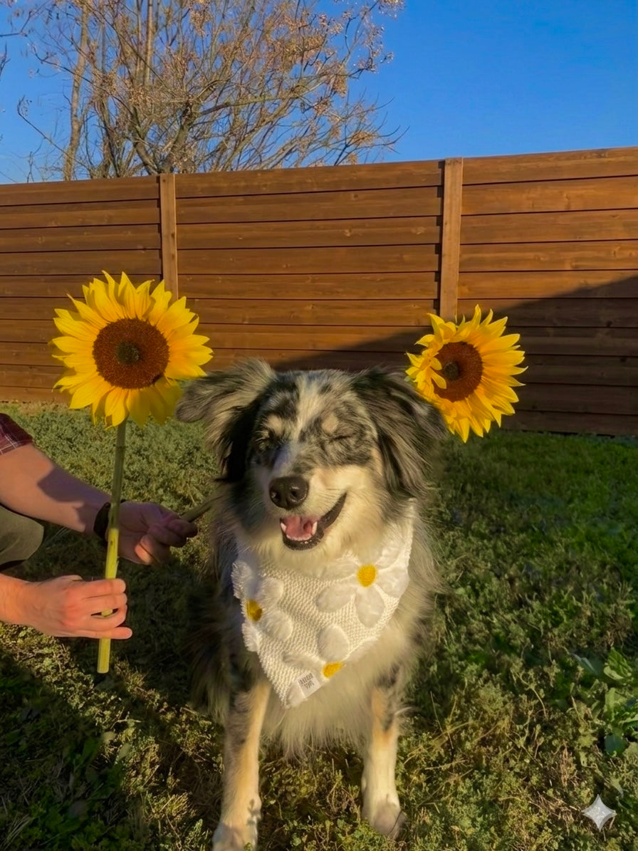 THE BIG SUMMER SEND OFF