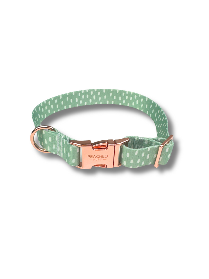 White Sage Fi Compatible Collar