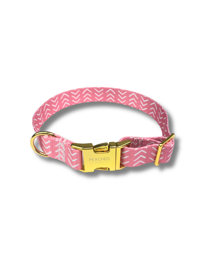 Archer Fi Compatible Collar