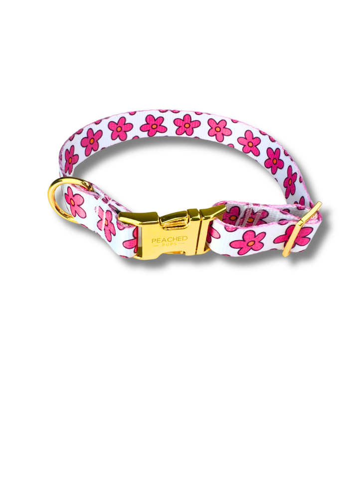 Petal Pop Fi Compatible Collar