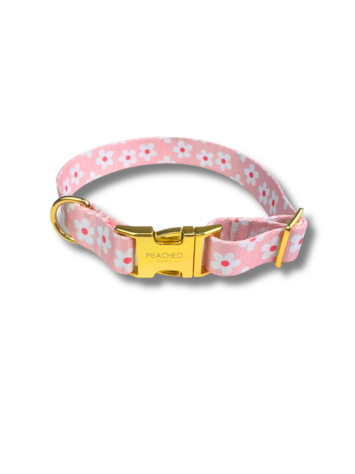 Daisy Garden Fi Compatible Collar