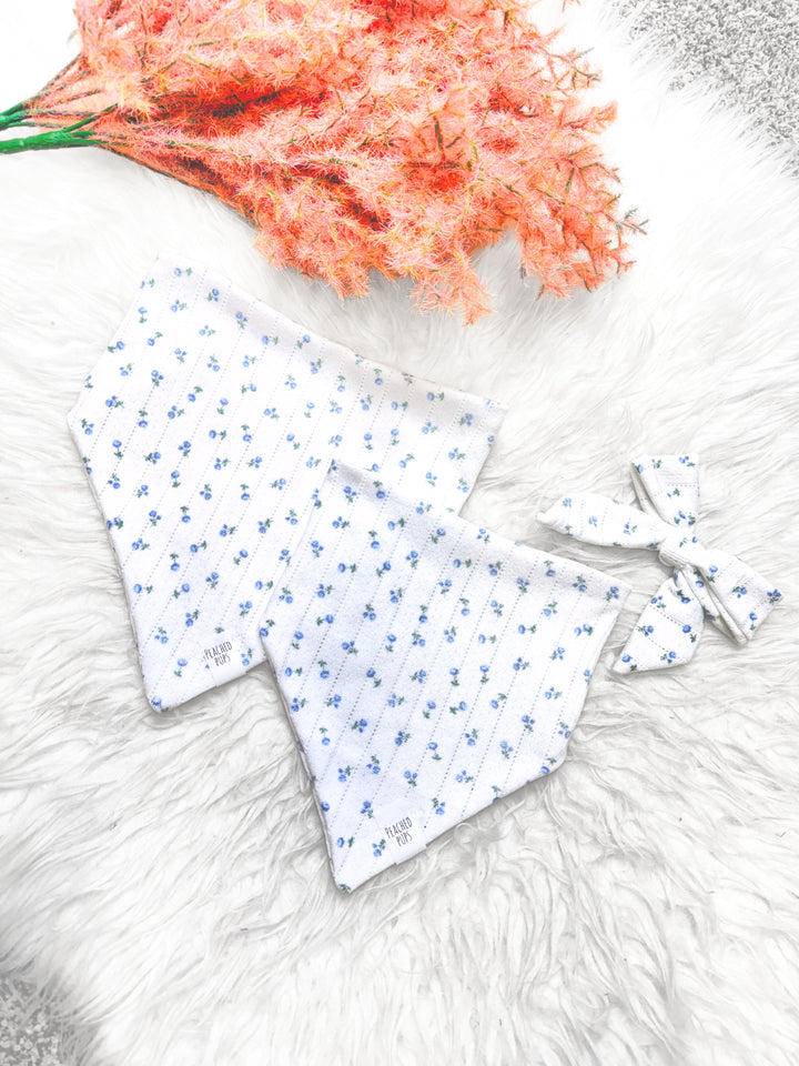 Bluebonnet Bliss Bow