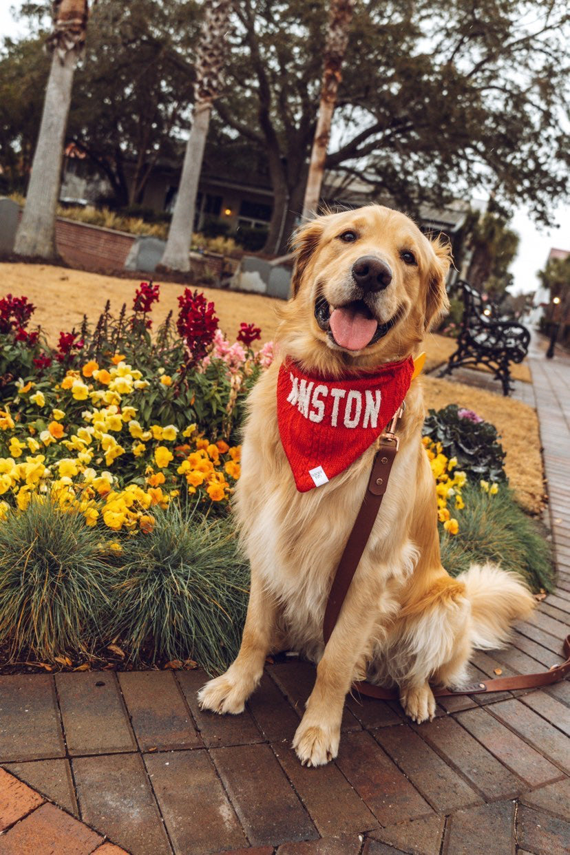 Customizable Knit Sweater Dog Bandana