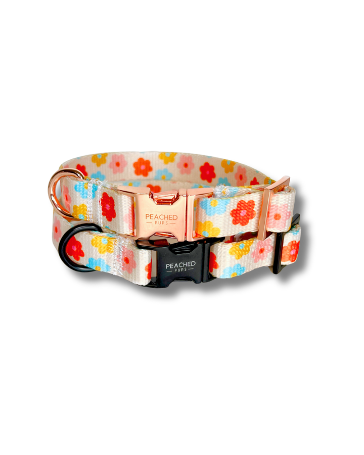 Floral Bloom Fi Compatible Collar
