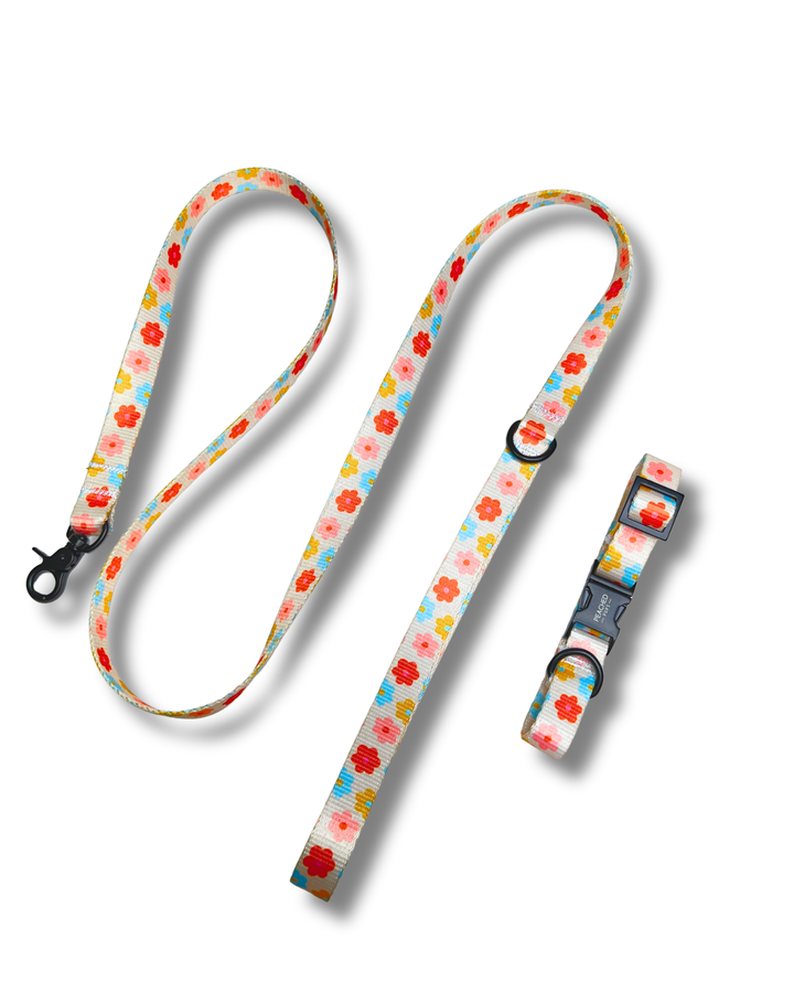 Floral Harness, Collar &amp; Leash Bundle