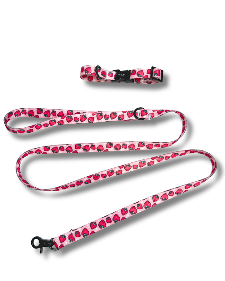 Strawberry Harness, Collar &amp; Leash Bundle