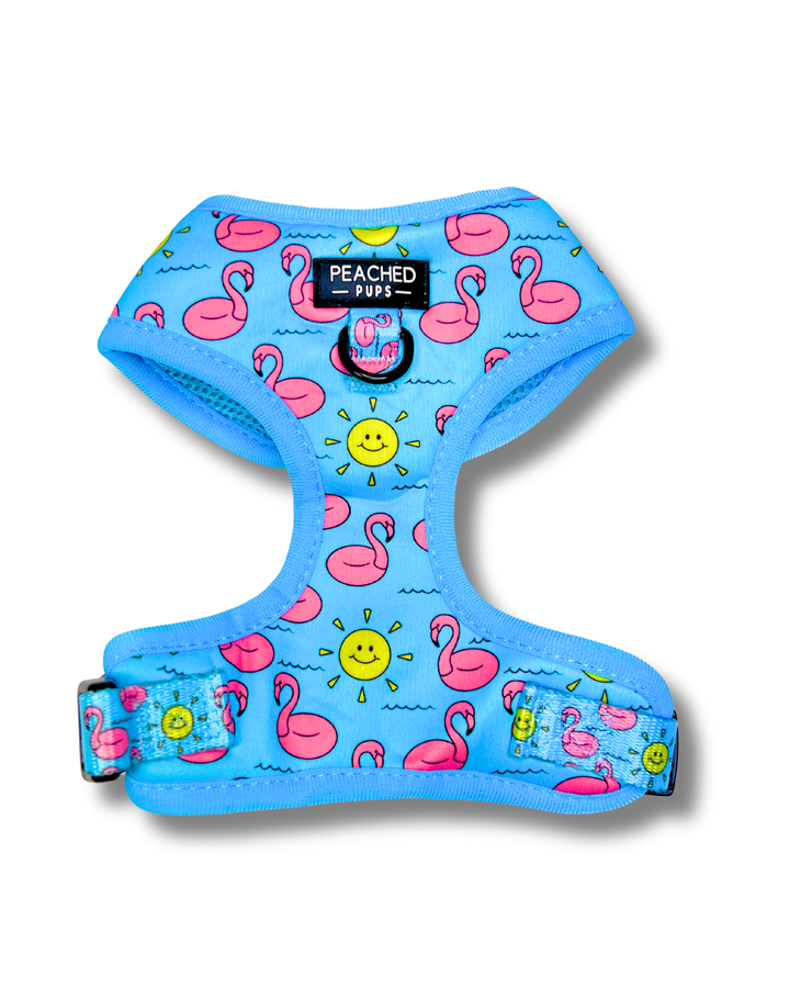 Flamingo Harness, Collar &amp; Leash Bundle