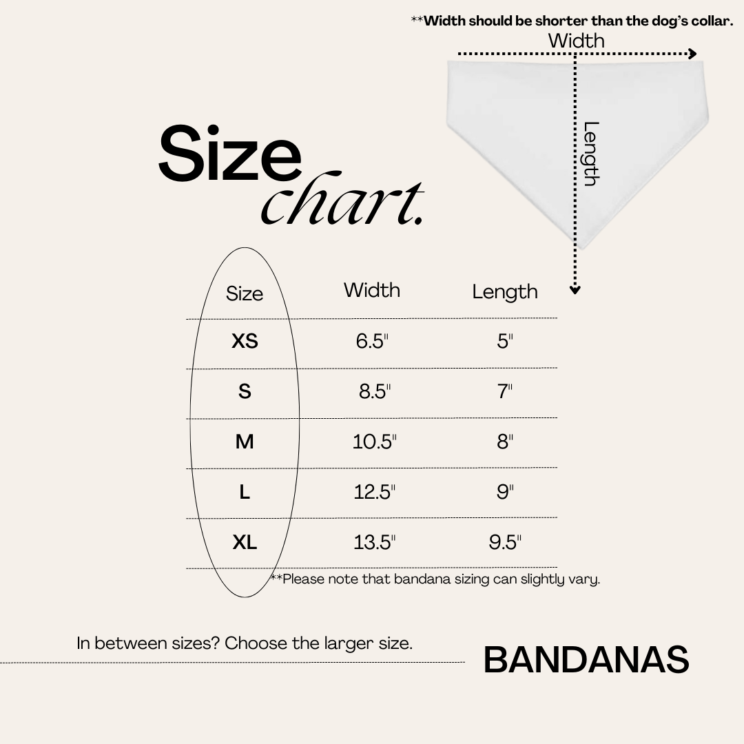 Drinking Buddy Dog Bandana