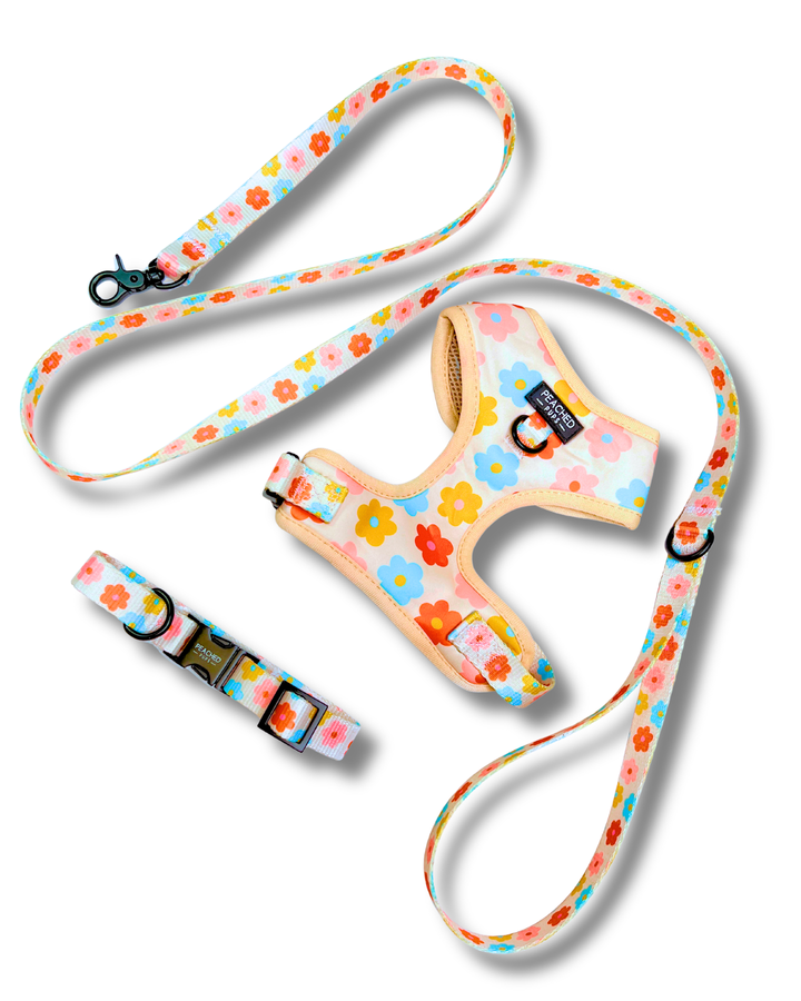 Floral Bloom Leash
