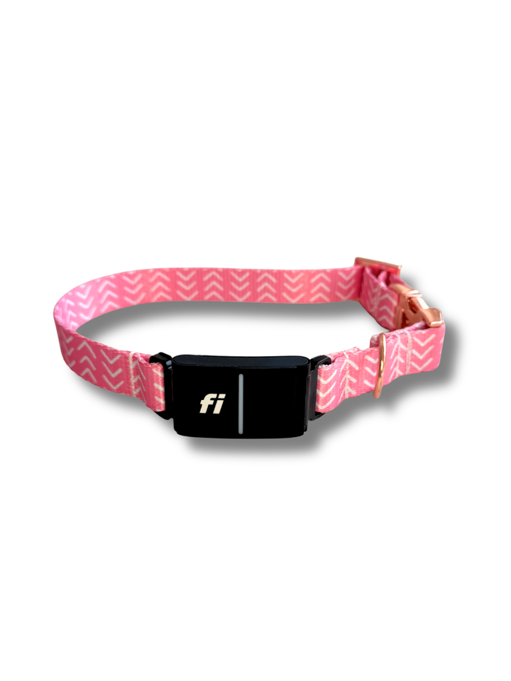 Archer Fi Compatible Collar