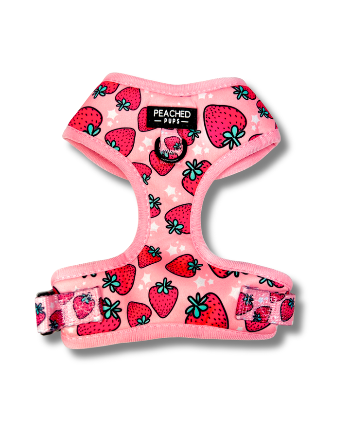 Strawberry Harness, Collar &amp; Leash Bundle