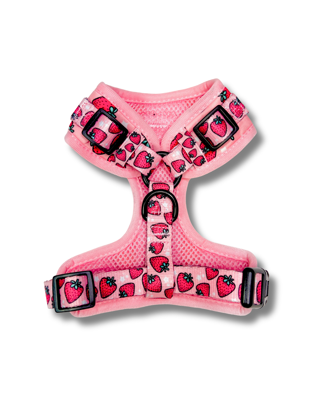 Strawberry Harness, Collar &amp; Leash Bundle